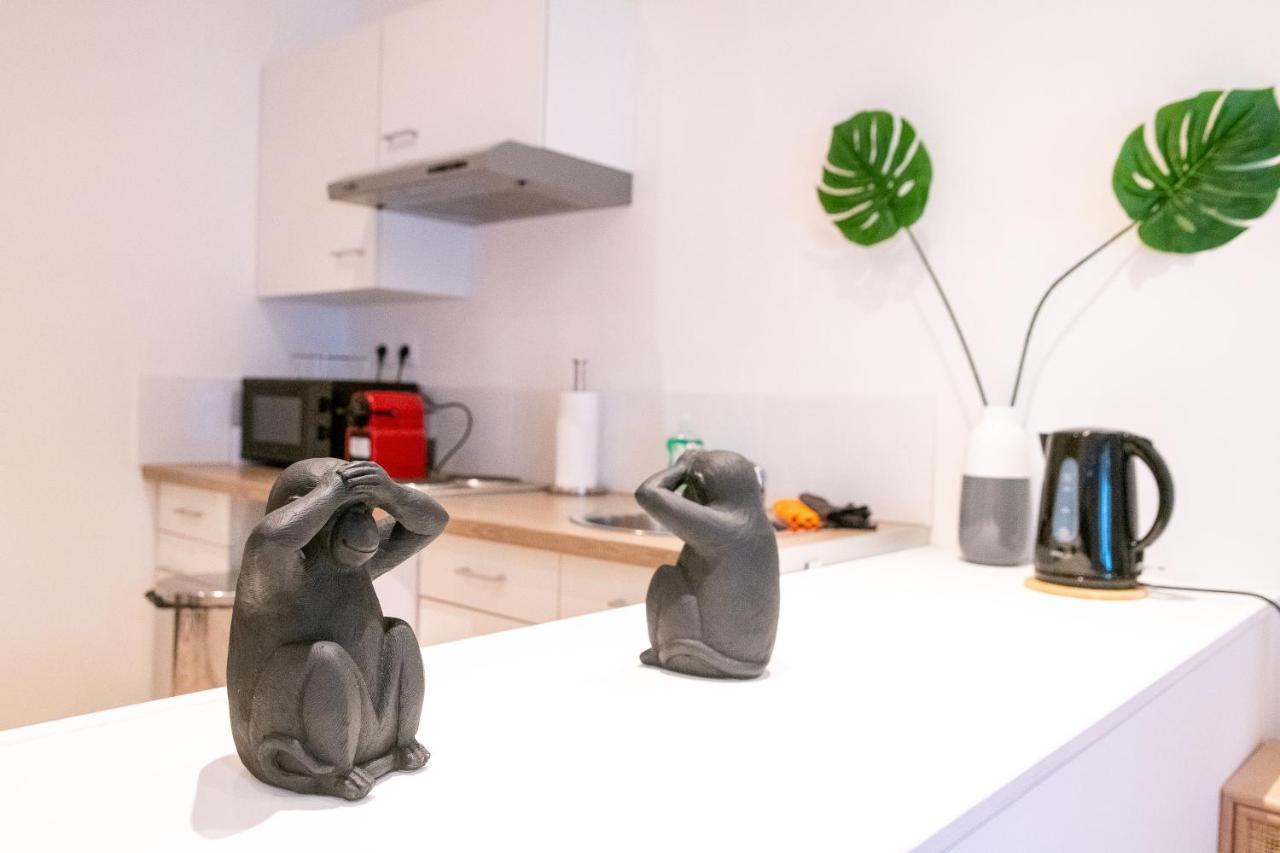 Appartamento Le Saint Waast Anzin - COSY LOCATION Esterno foto